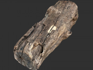 3d scan of Tree trunk 3D Модель