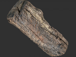 3d scan of Tree trunk 3D Модель