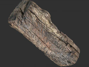 3d scan of Tree trunk 3D Model