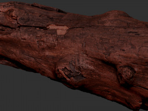 3d scan of Tree trunk 3D Модель