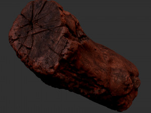 3d scan of Tree trunk 3D Модель