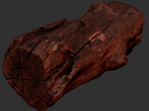 3d scan of Tree trunk 3D Модель