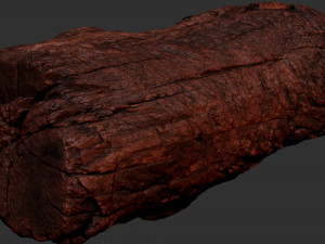 3d scan of Tree trunk 3D Модель