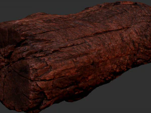 3d scan of Tree trunk 3D Model