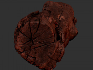 3d scan of Tree trunk 3D Модель