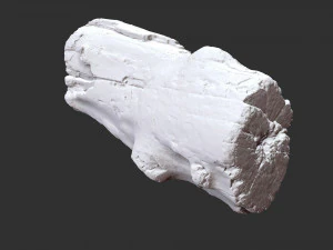 3d scan of Tree trunk 3D Model