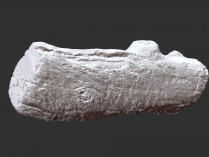 3d scan of Tree trunk 3D Модель