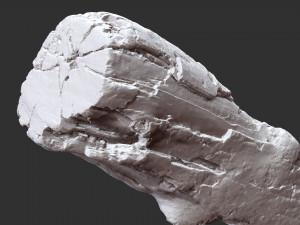 3d scan of Tree trunk 3D Модель