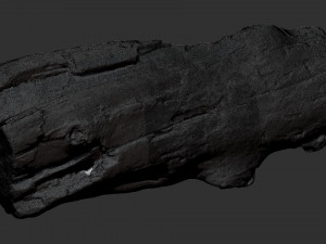 3d scan of Tree trunk 3D Модель