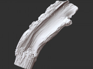 3d scan of tree trunk in highpoly Modelo 3D