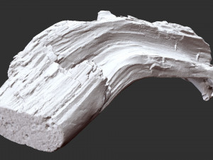3d scan of tree trunk in highpoly Modelo 3D