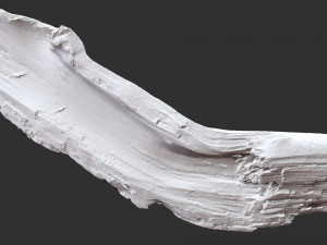 3d scan of tree trunk in highpoly Modelo 3D