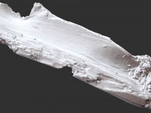 3d scan of tree trunk in highpoly Modelo 3D