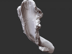 3d scan of tree trunk in highpoly Modelo 3D