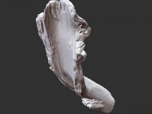3d scan of tree trunk in highpoly 3D Model