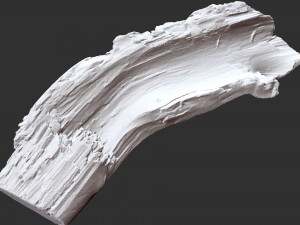 3d scan of tree trunk in highpoly Modelo 3D
