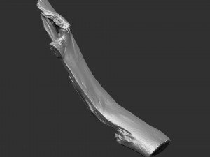 3d scan of tree trunk in highpoly Modelo 3D