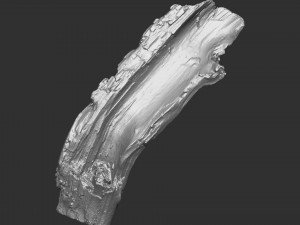 3d scan of tree trunk in highpoly Modelo 3D