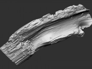 3d scan of tree trunk in highpoly Modelo 3D