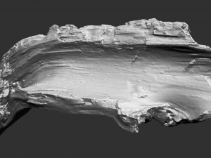 3d scan of tree trunk in highpoly Modelo 3D