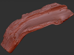 3d scan of tree trunk in highpoly Modelo 3D