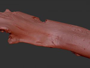 3d scan of tree trunk in highpoly 3D Model
