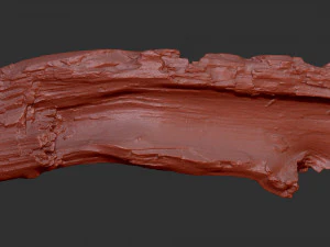 3d scan of tree trunk in highpoly 3D Model