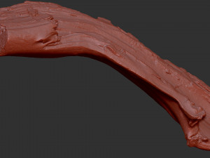 3d scan of tree trunk in highpoly Modelo 3D