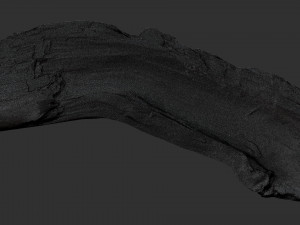 3d scan of tree trunk in highpoly Modelo 3D