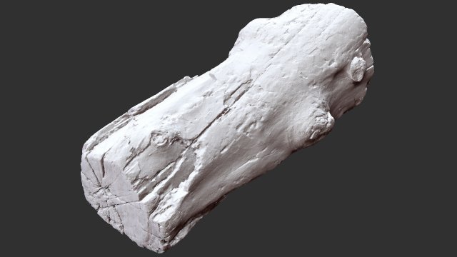 3d scan of tree trunk in highpoly 3D 모델 .c4d .max .obj .3ds .fbx .stl .blend 