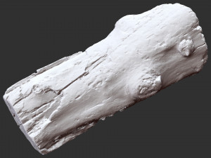 3d scan of tree trunk in highpoly 3D 모델