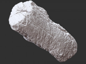 3d scan of tree trunk in highpoly 3D 모델