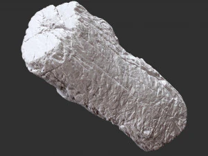 3d scan of tree trunk in highpoly 3D Model