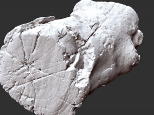 3d scan of tree trunk in highpoly 3D 모델