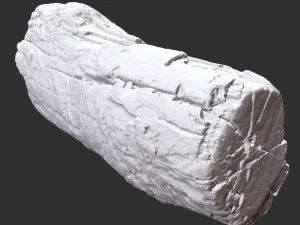 3d scan of tree trunk in highpoly 3D Model