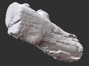 3d scan of tree trunk in highpoly 3D Model