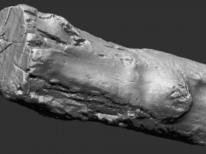 3d scan of tree trunk in highpoly 3D 모델