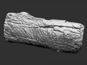 3d scan of tree trunk in highpoly 3D 모델