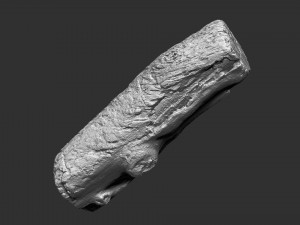 3d scan of tree trunk in highpoly 3D 모델