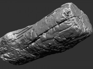 3d scan of tree trunk in highpoly 3D 모델