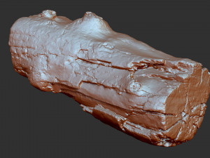 3d scan of tree trunk in highpoly 3D 모델