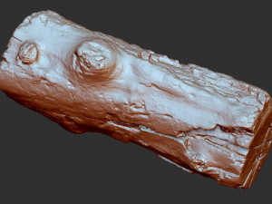 3d scan of tree trunk in highpoly 3D 모델