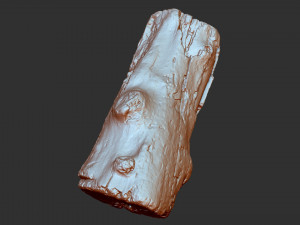 3d scan of tree trunk in highpoly 3D 모델