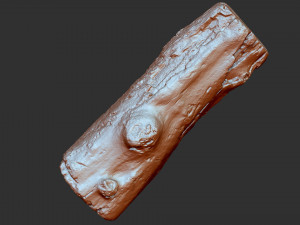 3d scan of tree trunk in highpoly 3D 모델