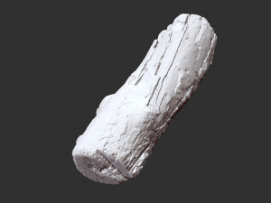 3d scan of tree trunk in highpoly 3D 모델