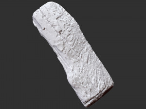 3d scan of tree trunk in highpoly 3D 모델