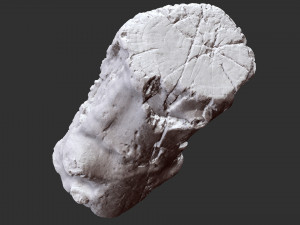 3d scan of tree trunk in highpoly 3D 모델