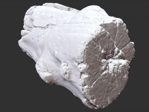 3d scan of tree trunk in highpoly 3D Model