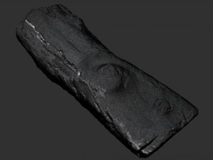 3d scan of tree trunk in highpoly 3D Model