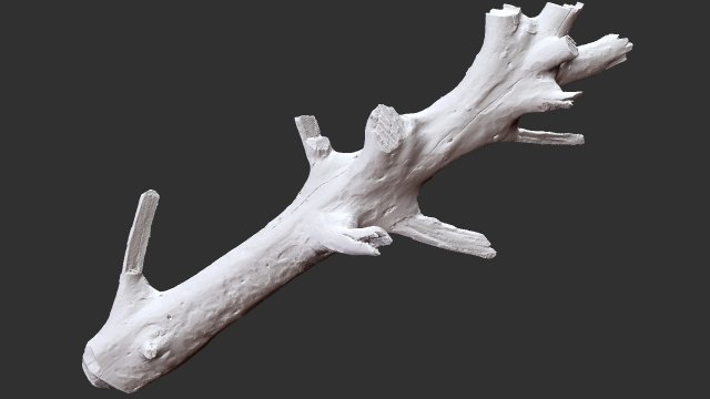 3d scan of tree trunk in highpoly 3D Model .c4d .max .obj .3ds .fbx .stl .blend 